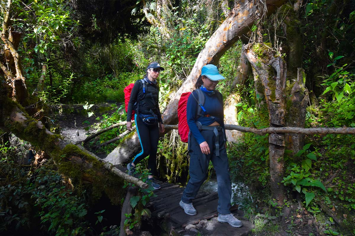 inca-trail-1-day