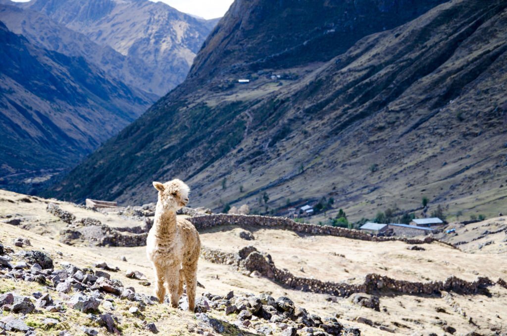 lares trek